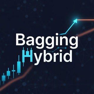 Логотип @bagginghybrid - Bagging Hybrid