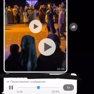 Логотип @baghdad097 - Делфин