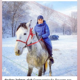 Логотип @bagiaizere - Bagiaizere