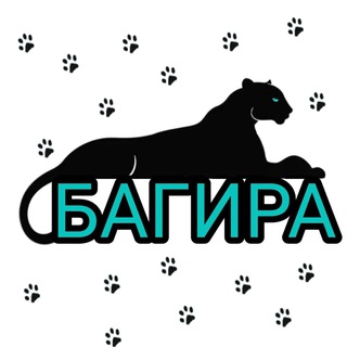 Логотип @bagira_brd - ️БагираBRD | ЗООМАГАЗИН️