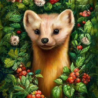 Логотип @baikaldar_baikaldar - Baikaldar