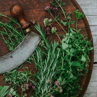 Логотип @baikaldar_otzivi - БАЙКАЛДАР ОТЗЫВЫ🌿