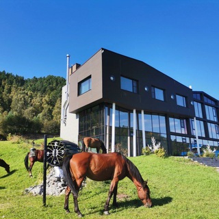 Логотип @baikalhill - Baikal Hill Residence | Листвянка | Байкал