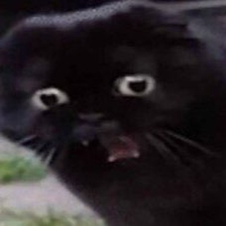 Логотип @bain_club - /soc Сумы