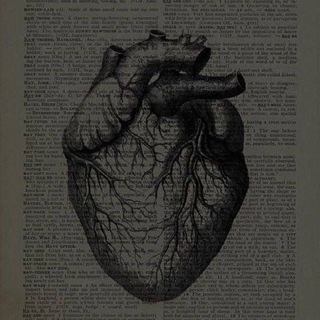 Логотип @bairamukova23 - Видео с чёрным фоном 🫀