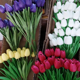 Логотип @baisat2023 - Сезонные Товары