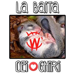 Логотип @baitadeighiripiemonte - LA BAITA DEI GHIRI❤️PIEMONTE