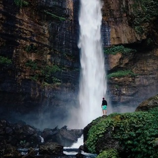 Логотип @bakhalegend - 𝐏𝐑𝐈𝐌𝐄_𝐂𝐇𝐀𝐍𝐍𝐄𝐋🇵🇸