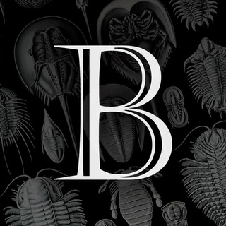 Логотип @baktygaliyev - BAKTYGALIYEV BLOG