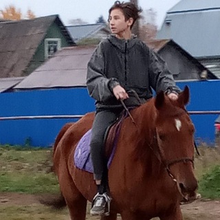 Логотип @balazejkinegor - Дело Егора Балазейкина