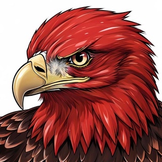 Логотип @baller_shymside - Взгляд Орла | Психология