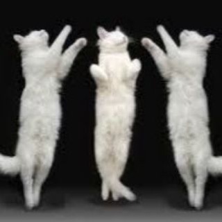 Логотип @ballet_progulka_with_olga - Балетный Петербург: экскурсии и прогулки с Ольгой Федорченко