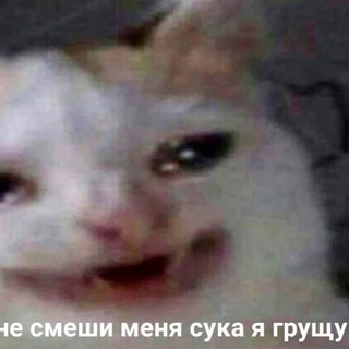 Логотип @balticcs - Baltic Central Station