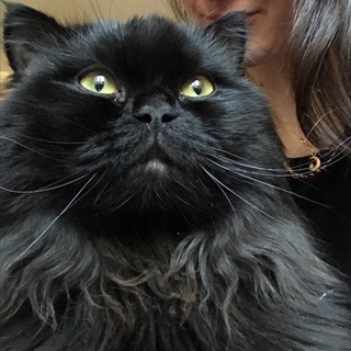 Логотип @balustyan - Балустян