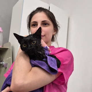 Логотип @balytivip - Балути🐯 сеть груминг салонов. Москва. Стрижка собак и кошек с 2010 года. Породный тримминг. Экспресс линька.🐶😺Беби груминг.