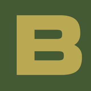 Логотип @banakinfo - Banak.info ռազմական մասնագիտացված կայք