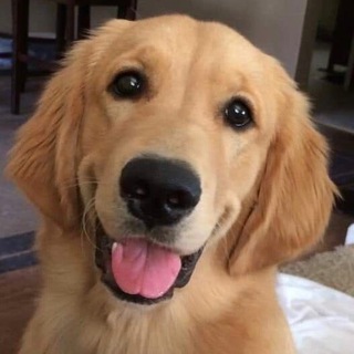 Логотип @bananaghooul - банановое царство