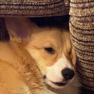 Логотип @banda_ytube - #бандаютуба - НИЩИЕ КРУЖКИ ОЧКОШНИКОВ