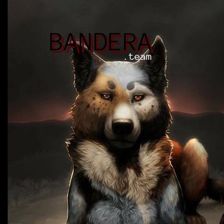 Логотип @banderateamm - Bandera.team