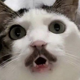 Логотип @bandorioreo - 🎄moch-moch! || магазин сладостей