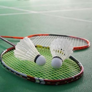 Логотип @bangaloreshuttlersclub - Bangalore Shuttlers Club