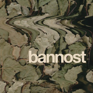 Логотип @bannost - БАННОСТЬ | банные выезды в Петербурге