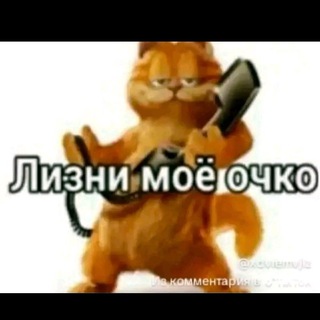 Логотип @bansshop - сын пи