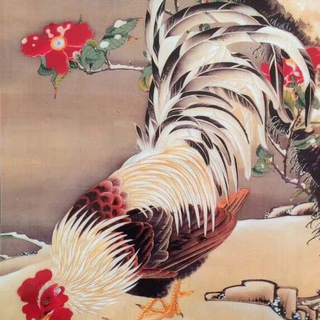 Логотип @baozou1_chat - 暴走BTC/LTC/PTS行情1