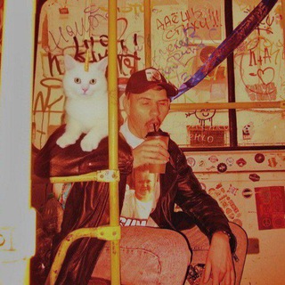 Логотип @bapyasha_days - Леха, Коты и сборка мебели