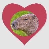 Логотип @barabarabarabereberebere2 - клуб любителей капибар