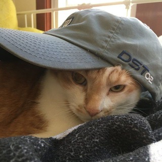 Логотип @barabashka11_88 - барабашка слушает