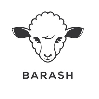 Логотип @barashstore - BARASHSTORE | ДЕТСКАЯ ОДЕЖДА