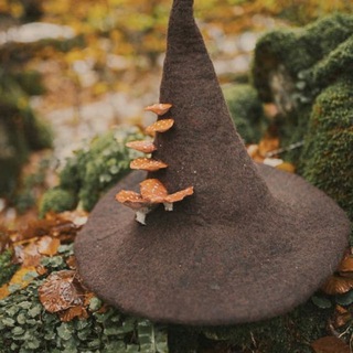 Логотип @barbiesleep - Ответ у ТАРО