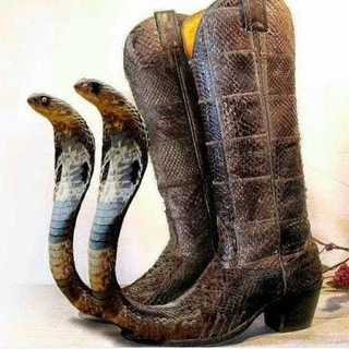 Логотип @barhatdvizh - бархатные движения