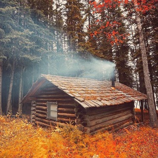 Логотип @baricky_dmitry - Читальня