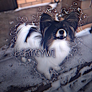Логотип @barneywil - жизнь барнюшки!)