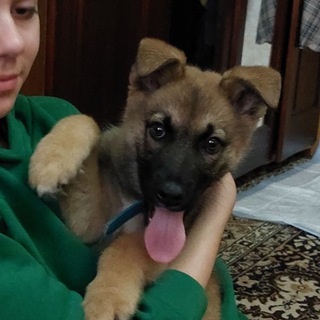 Логотип @barnidon - BarniDon