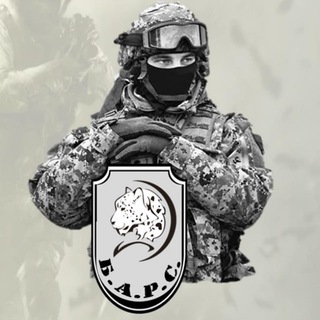 Логотип @barsrf11 - Репортер "БарсРФ" (BARSRF11)