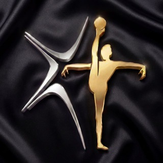 Логотип @barsukovagym - Центр гимнастики олимпийской чемпионки Юлии Барсуковой