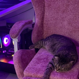 Логотип @barwer - Акур