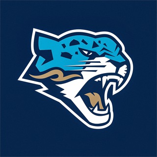 Логотип @barys_hc - barysofficial 🇰🇿