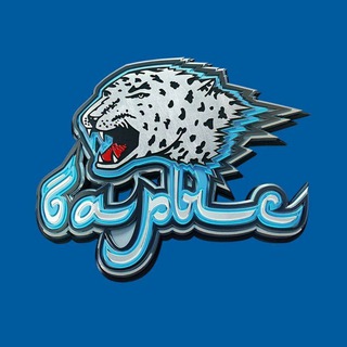Логотип @barys_official - Barys QZ