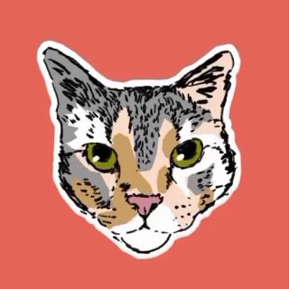 Логотип @basedegatos - Base de gatos