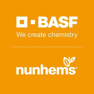 Логотип @basf_nunhems_russia - Nunhems BASF Россия