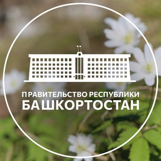 Логотип @bashkortostan_gov - Правительство Башкортостана