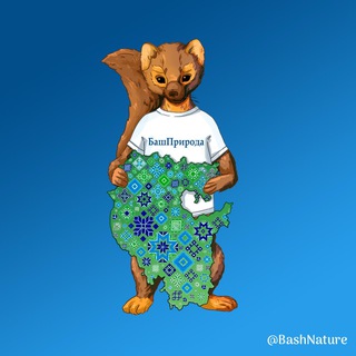 Логотип @bashnature - БашПрирода