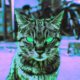 Логотип @bashouse - BASS HOUSE 💥