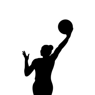 Логотип @basketslam - BasketStat