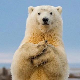 Логотип @baskzpkfortalk - Комментарии