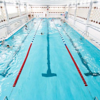 Логотип @bass2502 - Бассик 25.02